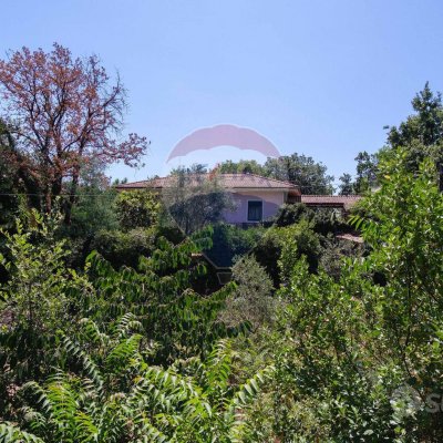Villa o villino - Zafferana Etnea