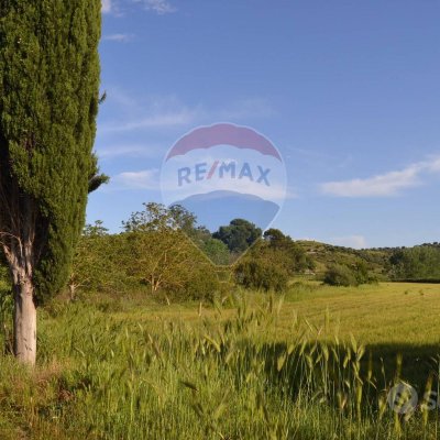 Terreno - Rosolini