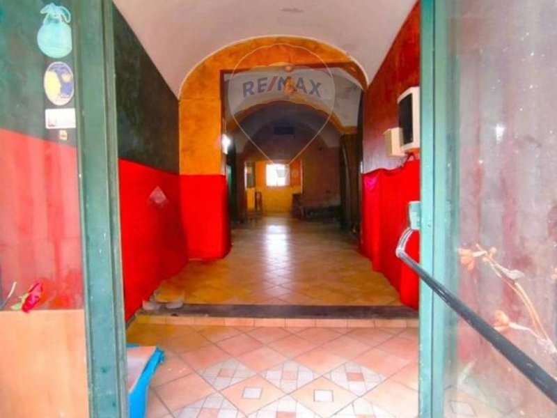 Immagine 3