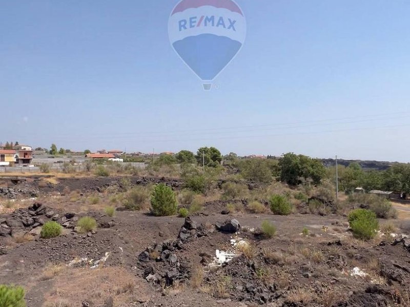 Immagine 10