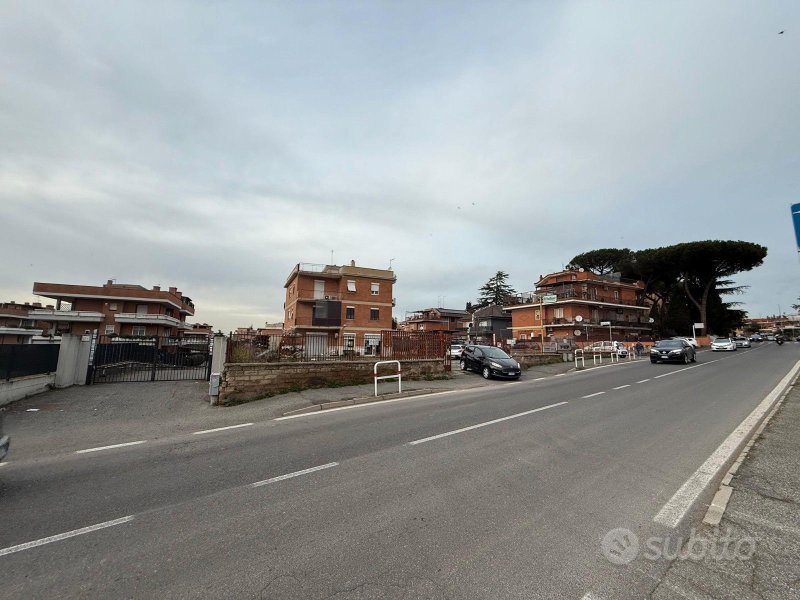 Immagine 4