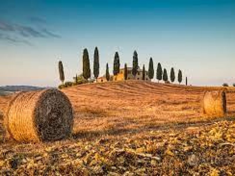 Immagine 1
