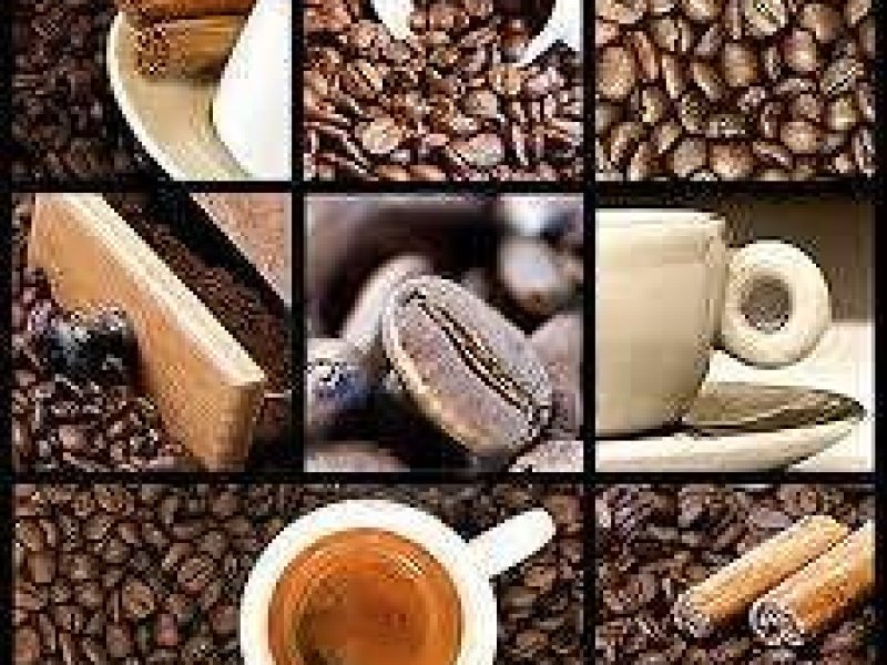 Immagine 2