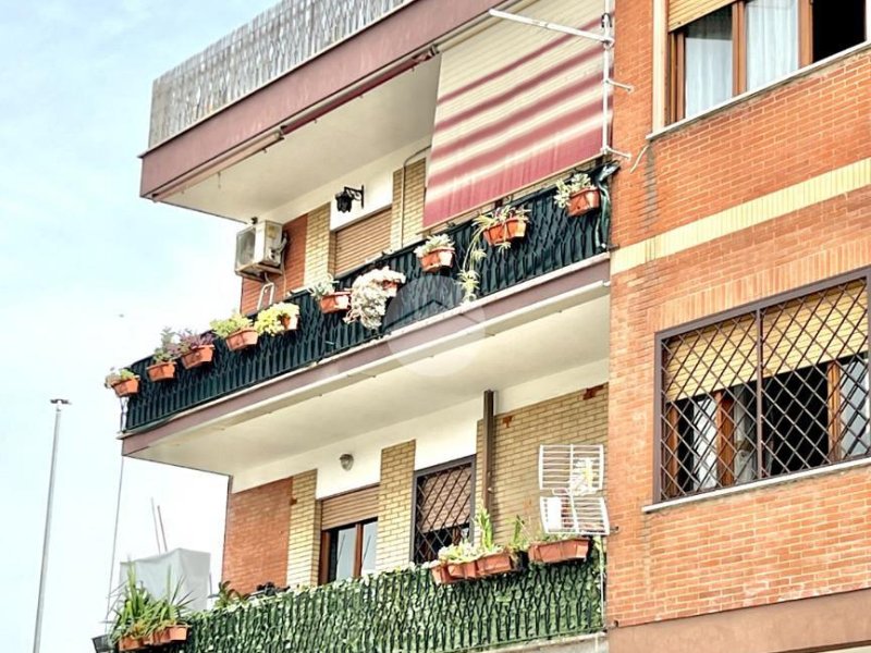 Immagine 1