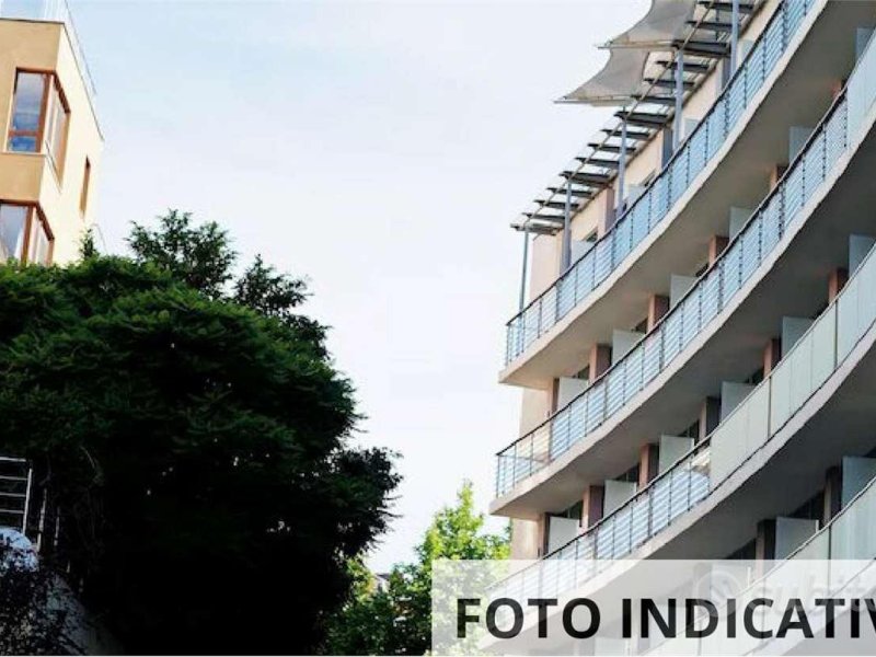 Immagine 6