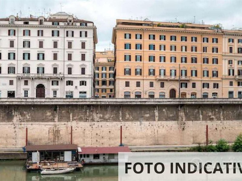 Immagine 7