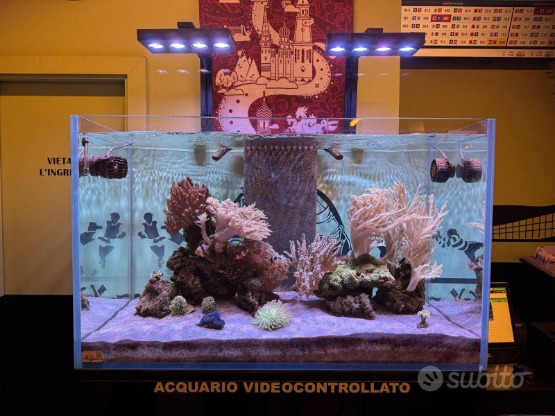 Immagine 1