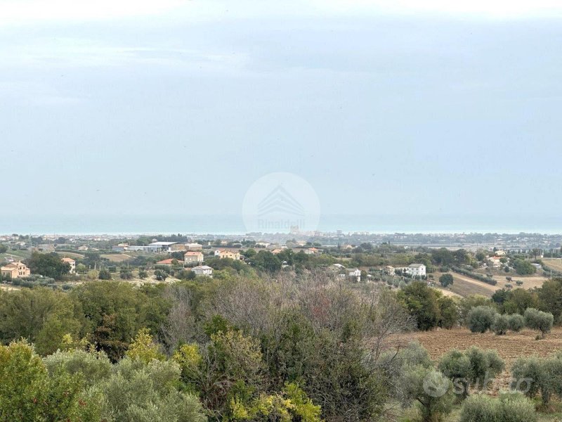 Immagine 1