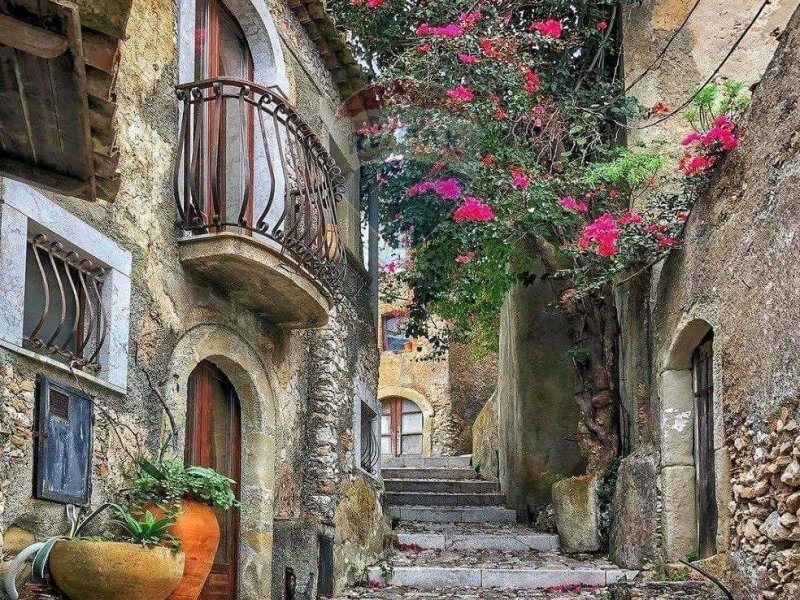 Immagine 1
