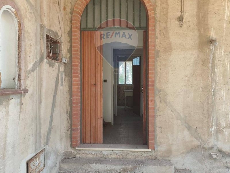 Immagine 3