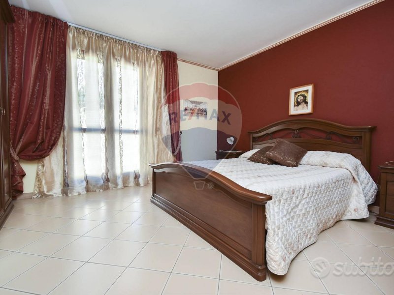 Immagine 6