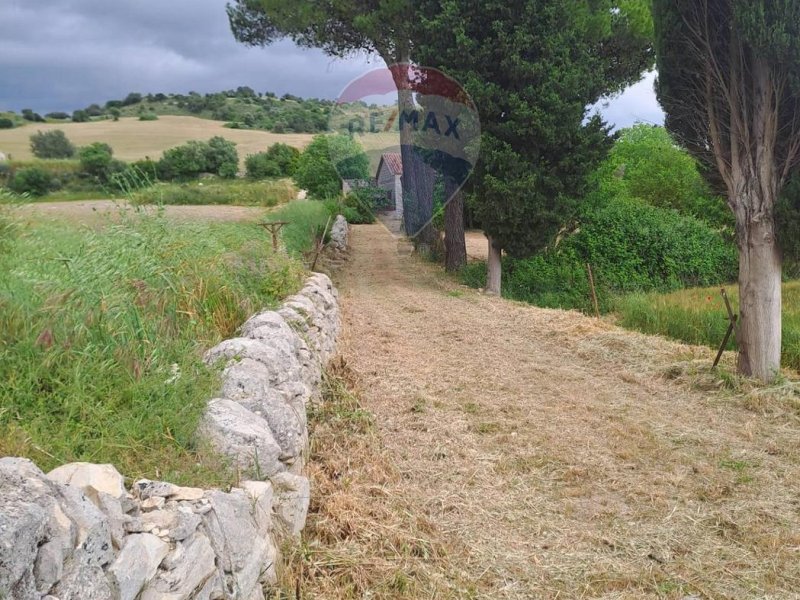 Immagine 3
