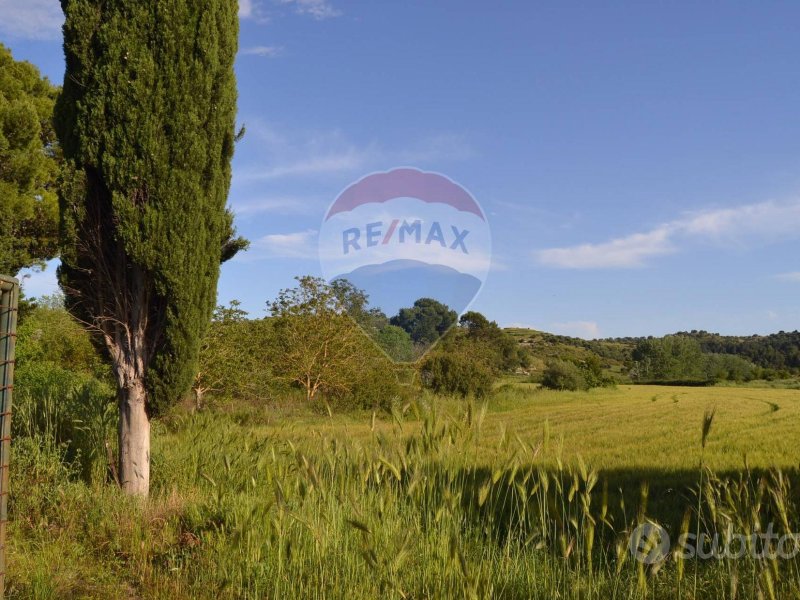 Immagine 1